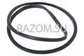 1-24283343 ACDelco GM Original Equipment Automatic Transmission 2-3-4-6-8 Clutch Piston Seal - Chevrolet - купить оригинал с доставкой