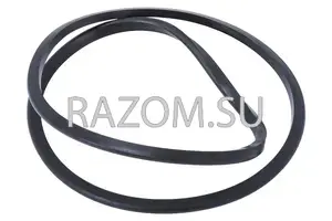 1-24283343 ACDelco GM Original Equipment Automatic Transmission 2-3-4-6-8 Clutch Piston Seal - Chevrolet - купить оригинал с доставкой