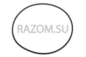 1-24283348 ACDelco GM Original Equipment Automatic Transmission 2-3-4-6-8 Clutch Piston Seal - Chevrolet - купить оригинал с доставкой